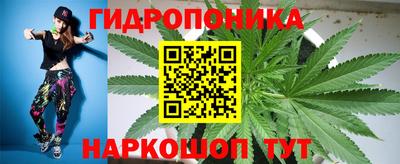spice Тула
